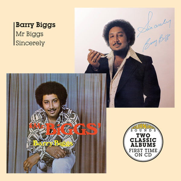 ラバーズロックPROMISE IS A COMFORT BARRY BIGGS ラバーズロックPROMISE IS A COMFORT BARRY BIGGS Barry Biggs