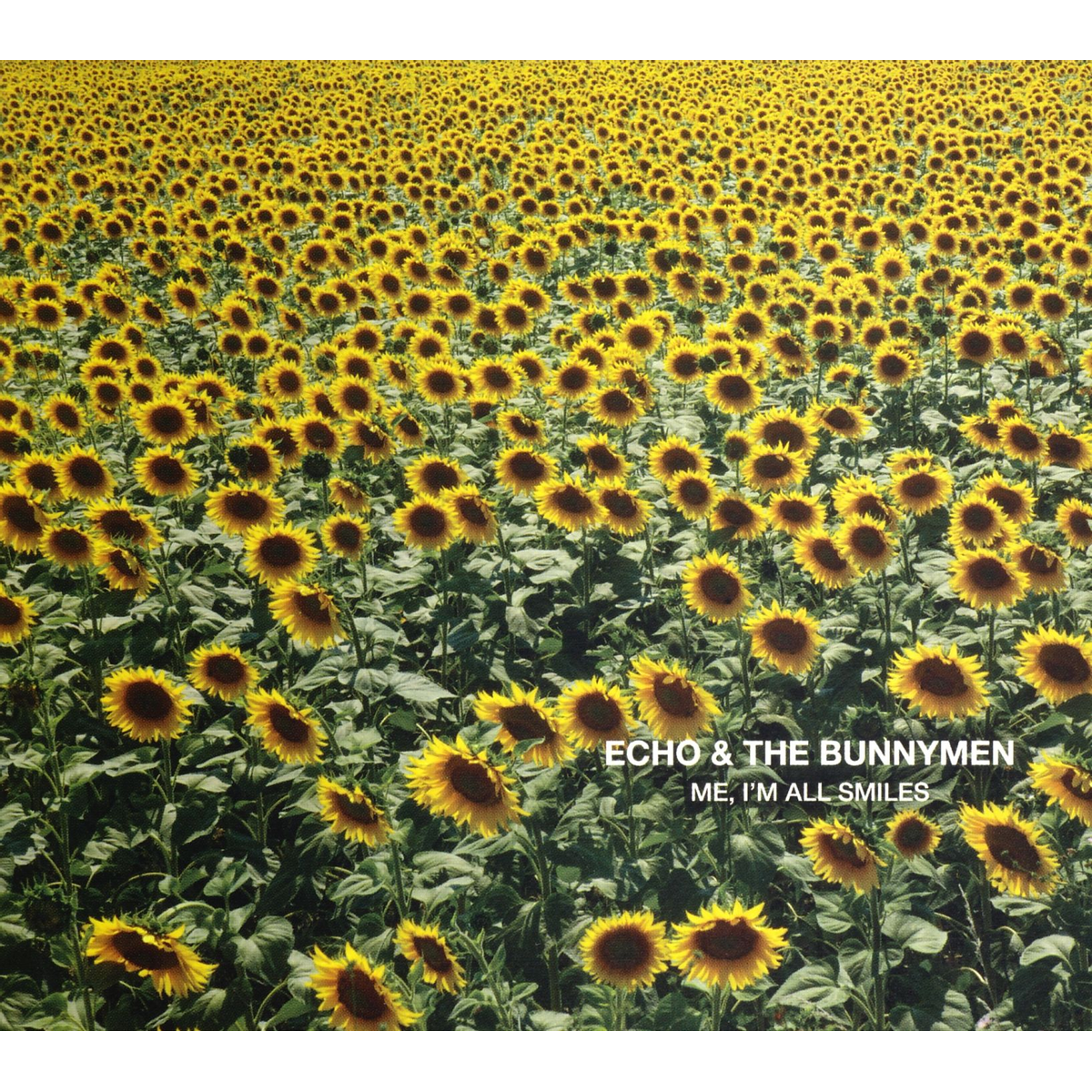 Echo & The Bunnymen - Me, I'm All Smiles - CD Album - Secret Records Limited